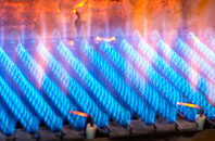 Gallt Y Foel gas fired boilers